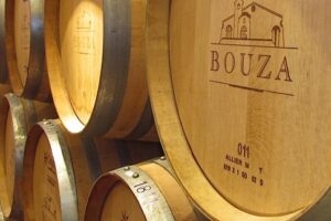 Montevideo City Tour Visiting Bouza Winery